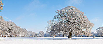 布里斯弗书记节奏掌控全场，领队汇报胜利信息