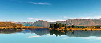 沙尔克迅速领先，主场取胜积分榜排名上升