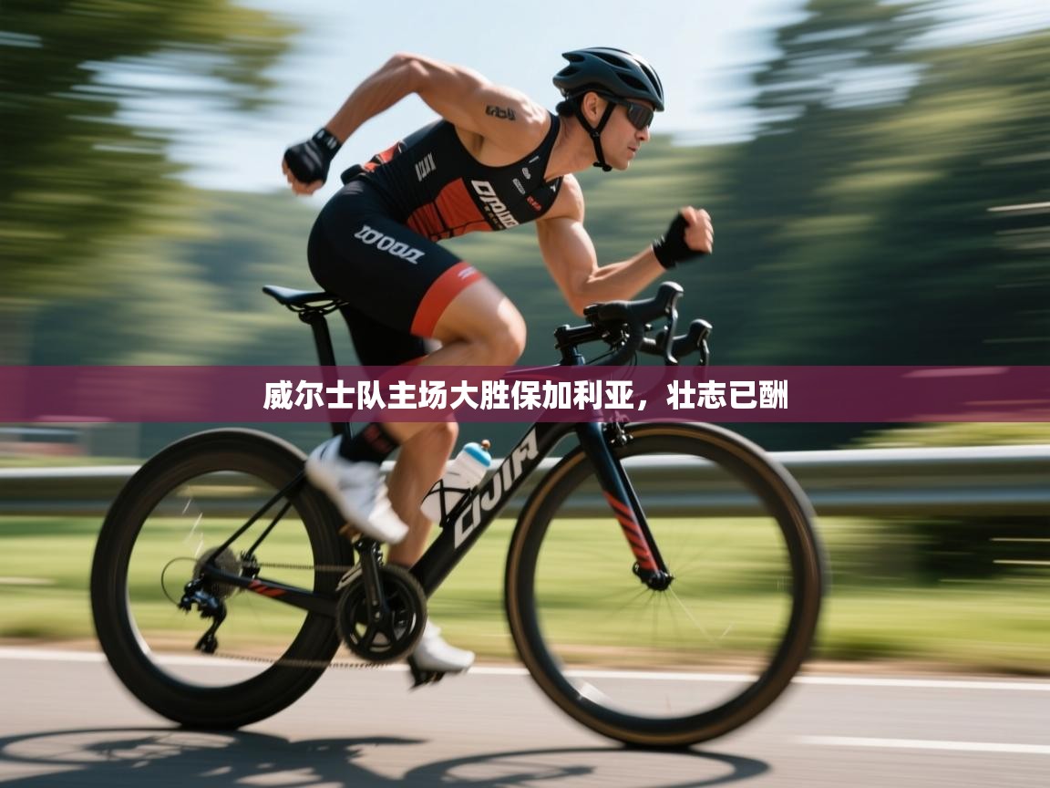 威尔士队主场大胜保加利亚，壮志已酬  第2张