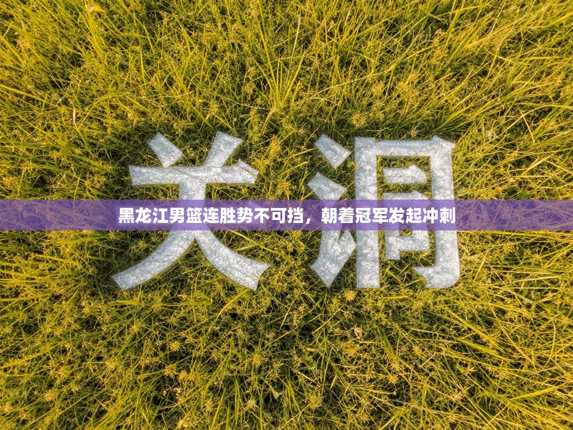 黑龙江男篮连胜势不可挡，朝着冠军发起冲刺